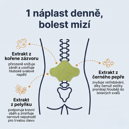 Náplasti pro úlevu od bolesti zad, ischiasu, kolen a ramen
